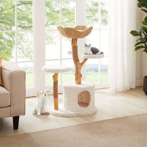 Clearance Sale – 30% OFF Stylish Furniture & Pet Essentials - UniPawsStore2023