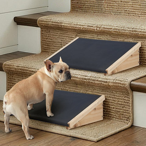 Non-Slip Dog Ramp for Stairs