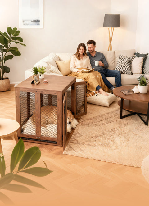 Where modern living meets the love of pets