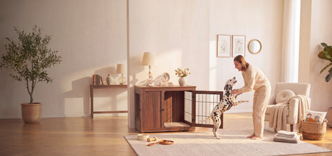 Every Good Dog Deserves a Great Home