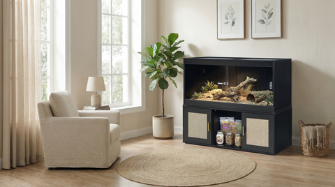 Spacious reptile habitat with built-in storage.