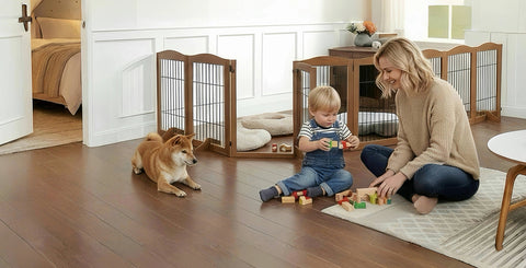 Where modern living meets the love of pets