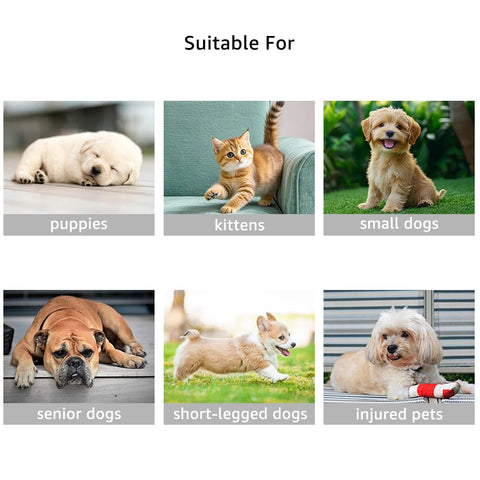 Non-Slip Dog Ramp for Stairs