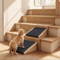 A small golden puppy stands on a wooden ramp with a dark blue cushion next to a set of indoor stairs wrapped in woven carpeting, in a bright, sunlit room.