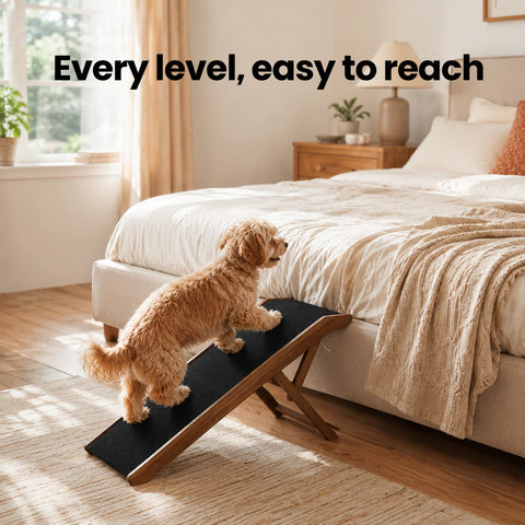 Foldable Wooden Pet Ramp for Small Dogs & Cats