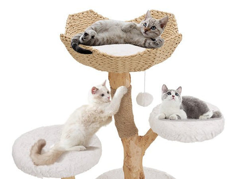 UniPawsStore2023_Unipaws Modern Cat Tree Tower